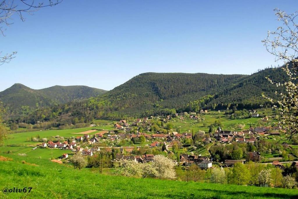 Saint-Martin  La Casa De Pimpele 빌라 외부 사진